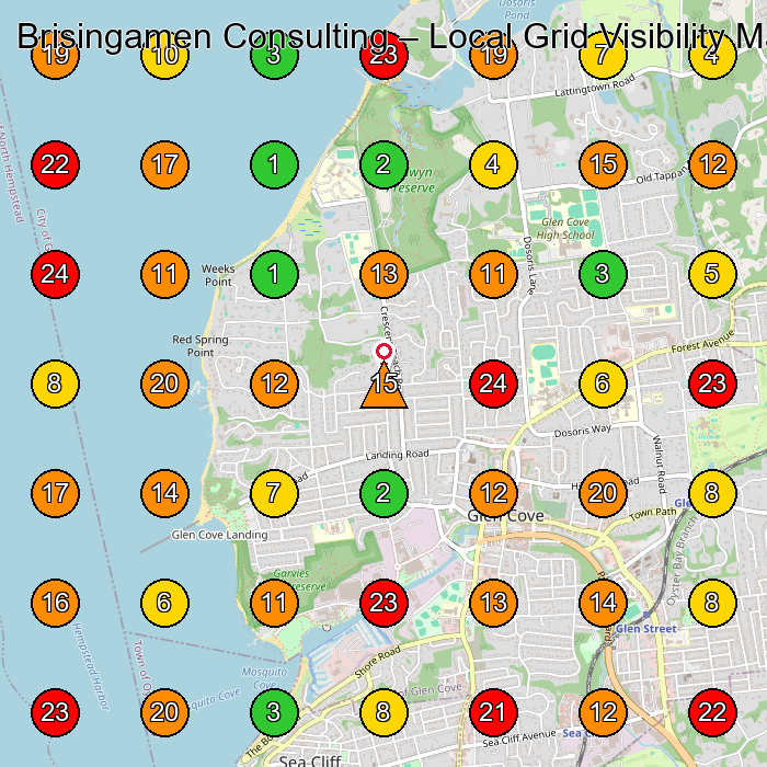 Brisingamen Consulting Computer Consultant GeoGrid ranking map for Glen Cove NY